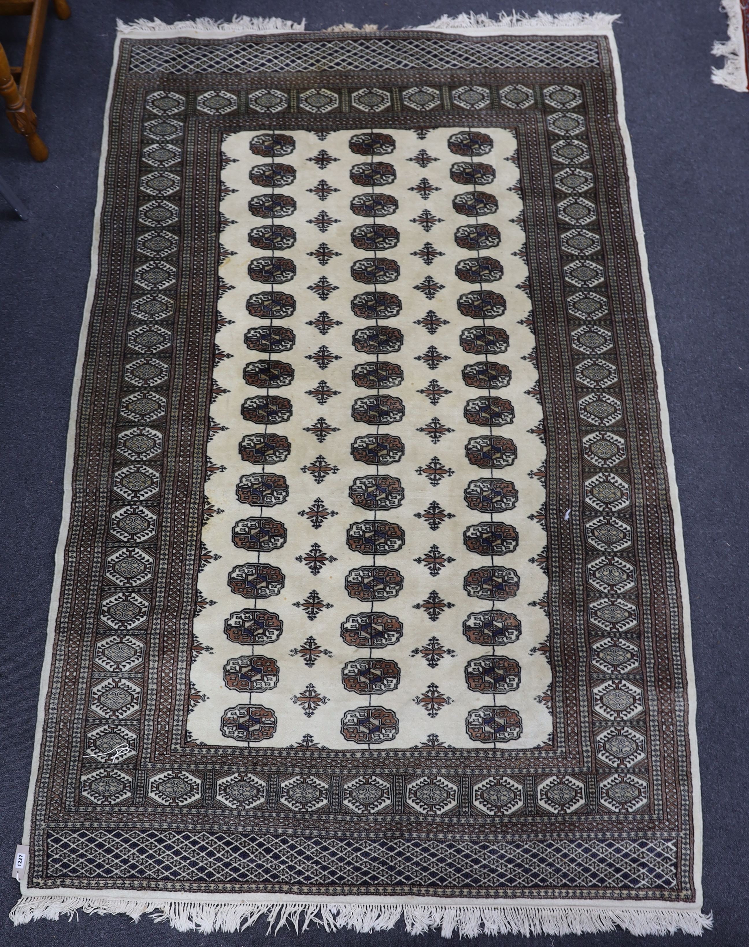 A Bokhara ivory ground rug, 246 x 156cm